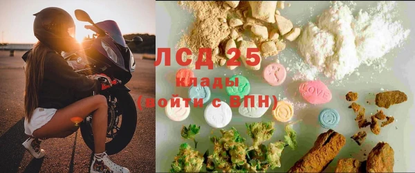 ПСИЛОЦИБИНОВЫЕ ГРИБЫ Абдулино
