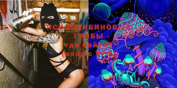 apvp Алексин