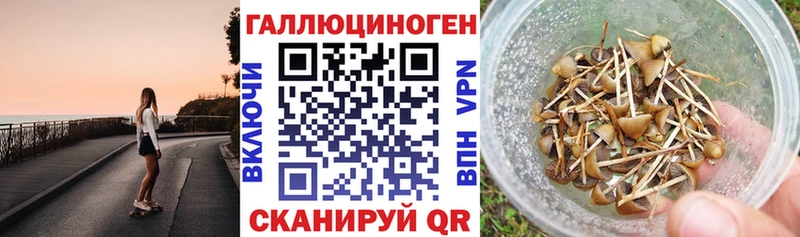 продажа наркотиков  Ладушкин  кракен ТОР  Галлюциногенные грибы Magic Shrooms 