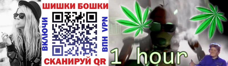 Марихуана план  Ладушкин 